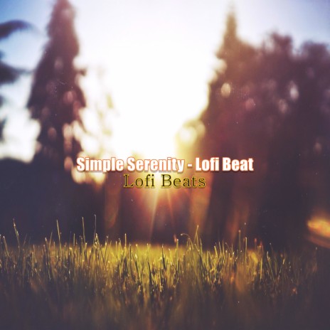 Simple Serenity - Lofi Beat | Boomplay Music