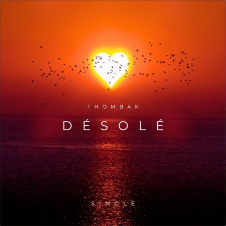 Désolé | Boomplay Music