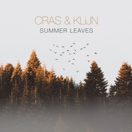 Summer Leaves ft. KLiJN | Boomplay Music