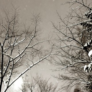 Homebody Winter, Cold Lonely Winter PLAYLIST #09