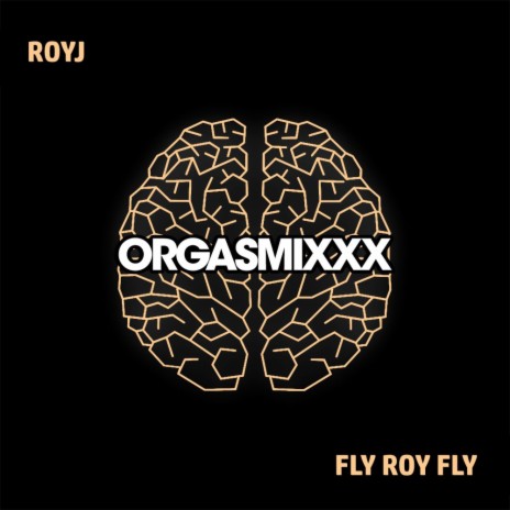 Fly Roy Fly | Boomplay Music