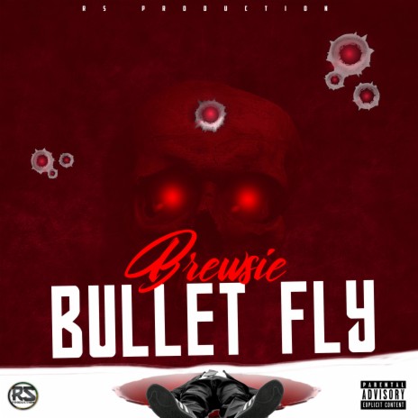 Bullet Fly | Boomplay Music