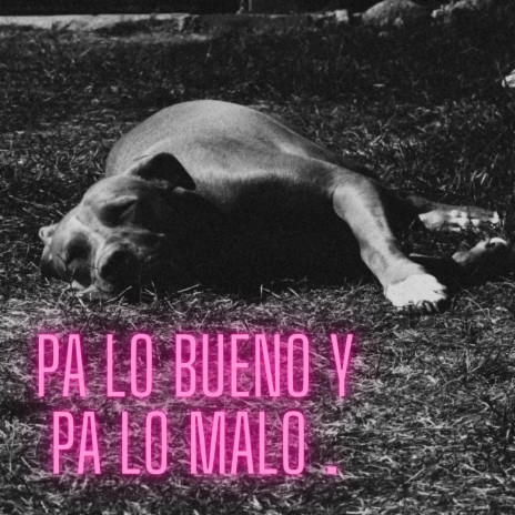 Pa lo bueno y pa lo malo ft. Malo Mulato | Boomplay Music