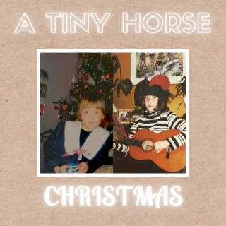 A Tiny Horse Christmas