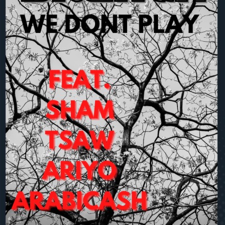 We dont play ft. Mc Sham, Tsaw, Ariyo & Arabicash | Boomplay Music