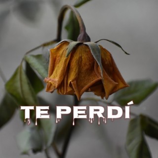 Te Perdí