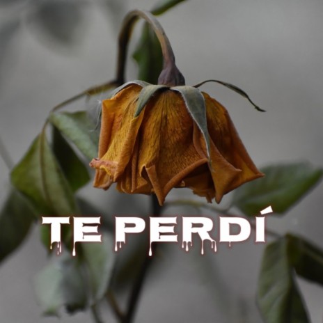 Te Perdí | Boomplay Music