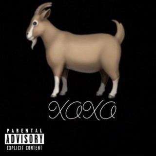 Goat xoxo