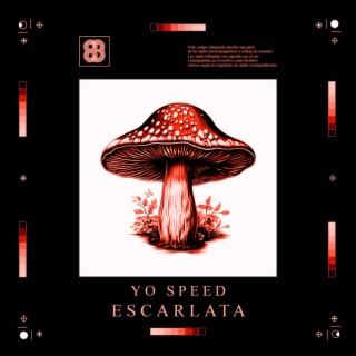 Escarlata