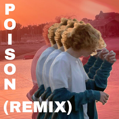 Poison (Remix) | Boomplay Music