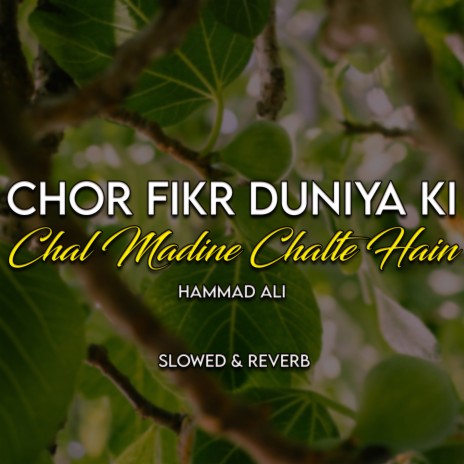 Chor Fikr duniya Ki Chal Madine Chalte Hain Lofi | Boomplay Music