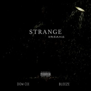 Strange Dreams ft. Bleeze lyrics | Boomplay Music