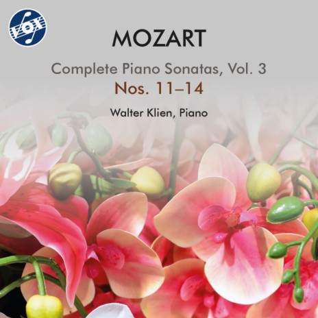 Piano Sonata No. 11 in A Major, K. 331 Alla turca: III. Alla turca | Boomplay Music