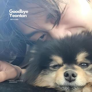 Goodbye Yeontan