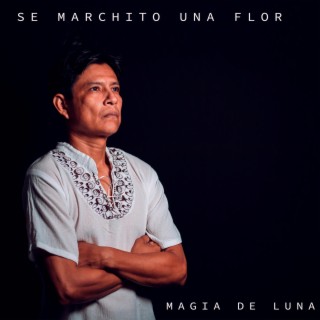 Se marchito una flor