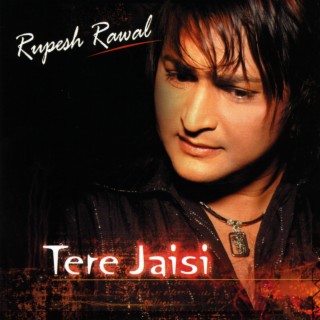 Tere Jaisi