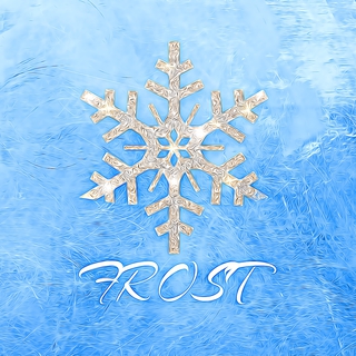 FROST lyrics | Boomplay Music