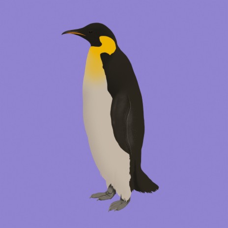 Penguin | Boomplay Music