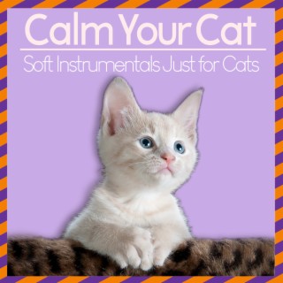 Calm Your Cat - Soft Instrumentals Just for Cats