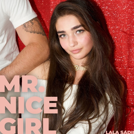 Mr. Nice Girl