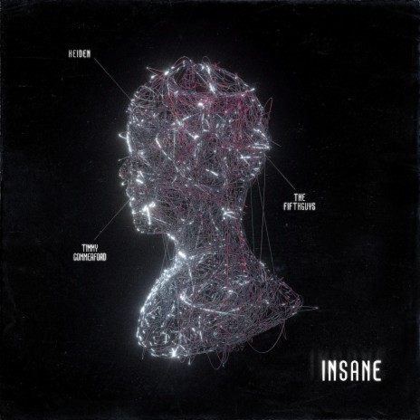insane ft. Keiden & Timmy Commerford | Boomplay Music
