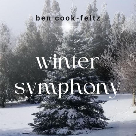 Winter Symphony | Boomplay Music