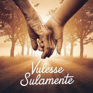 Vulesse sulamente