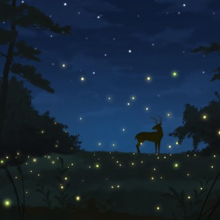 Field of Fireflies