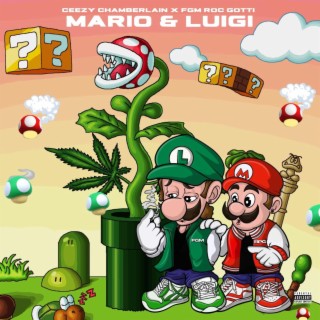 MARIO & LUIGI