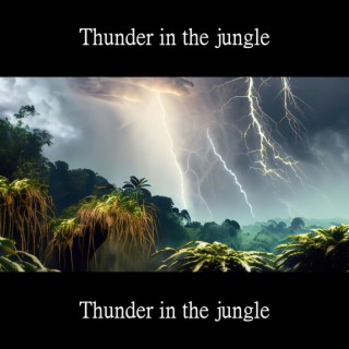 Thunder in the jungle