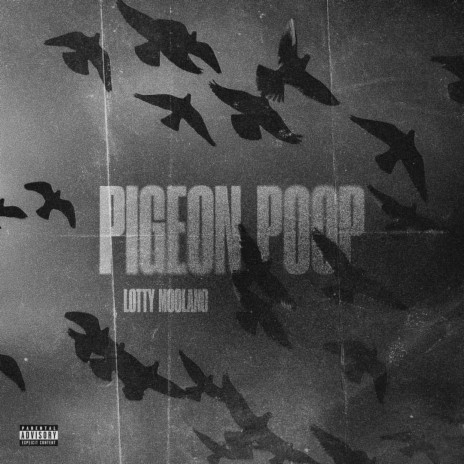 Pigeon Poop | Boomplay Music