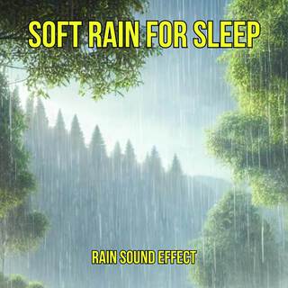 Soft Rain for Sleep