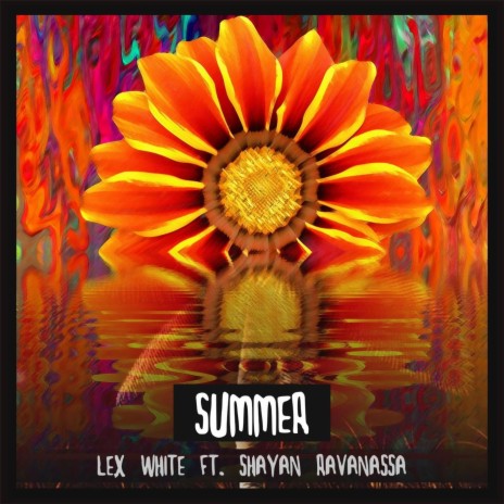 Summer (feat. Shayan Ravanassa) | Boomplay Music