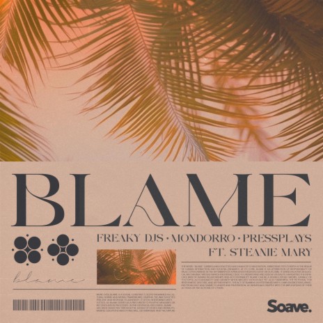 Blame (feat. Steanie Mary)