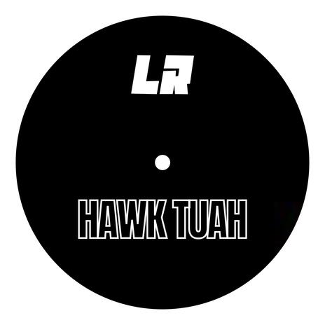 Hawk Tuah (Spit On That Thang) (Tech House Extended Mix) | Boomplay Music