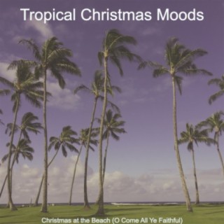 Tropical Christmas Moods