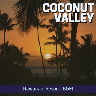 Hawaiian Resort BGM