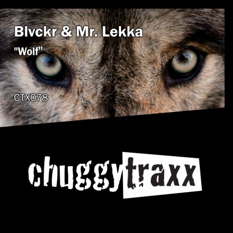 Wolf (Radio-Edit) ft. Mr. Lekka | Boomplay Music