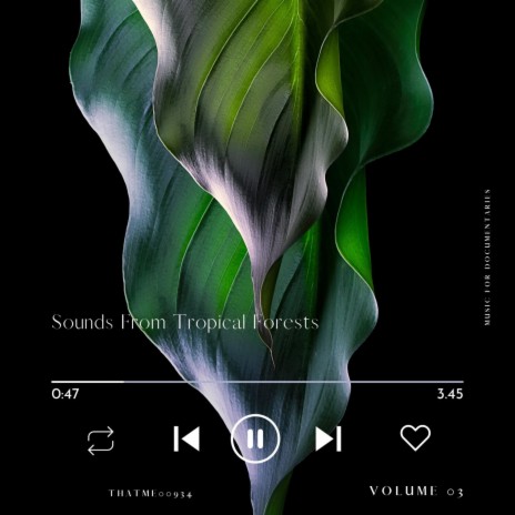 Soothing Tropical Forest Serenade, Pt. 42 | Boomplay Music