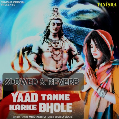 Yaad Tanne Karke Bhole (Slowed & Reverb)