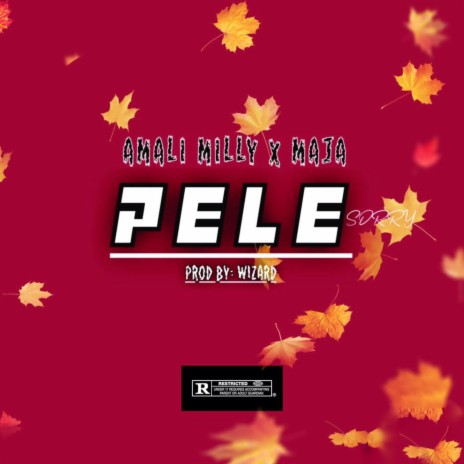 Pele ft. Maja | Boomplay Music