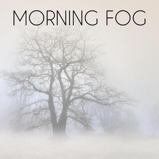 Morning Fog