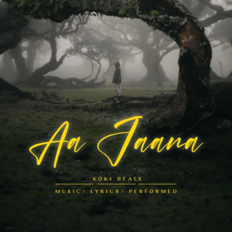 Aa Jaana | Boomplay Music