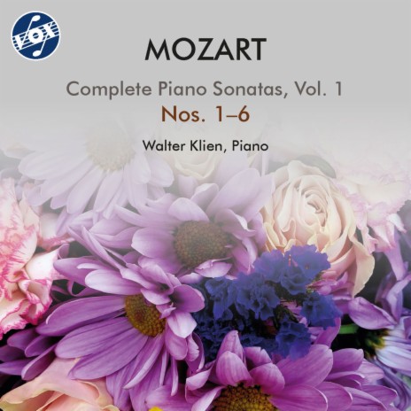 Piano Sonata No. 5 in G Major, K. 283: II. Andante | Boomplay Music