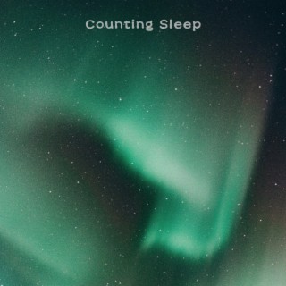 Counting Sleep