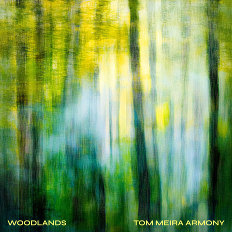 Woodlands | Boomplay Music