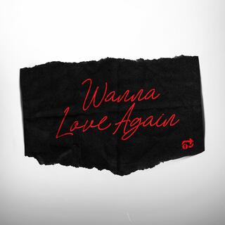 Wanna Love Again