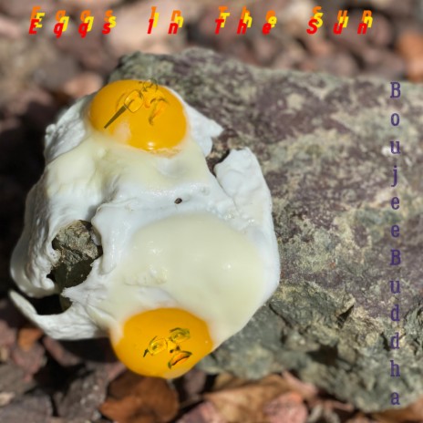Eggs in the Sun | Boomplay Music