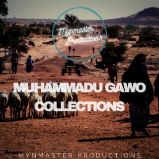 Muhammadu Gawo Collections
