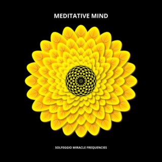 Meditative Mind